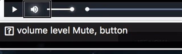 macOS VoiceOver Before The Fix